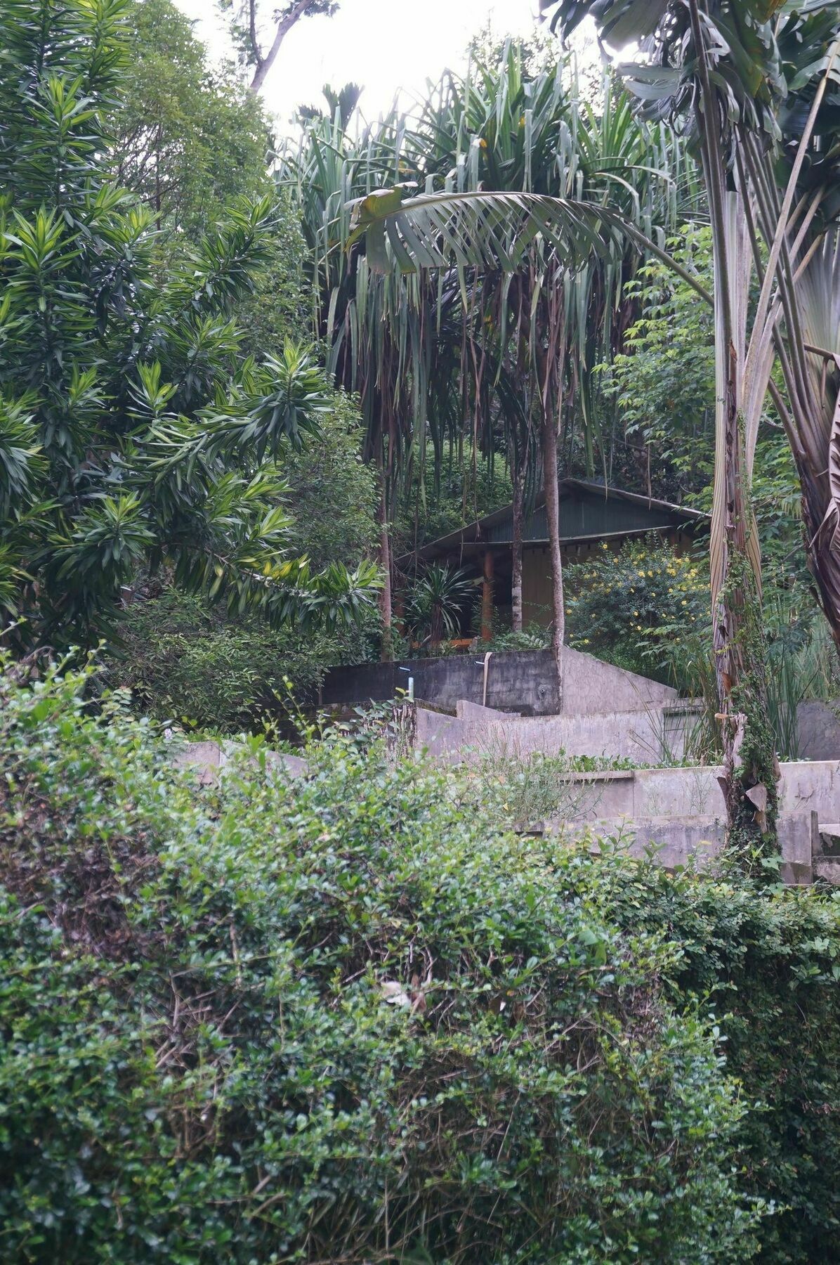 Smallville Resort Ranong Exterior foto
